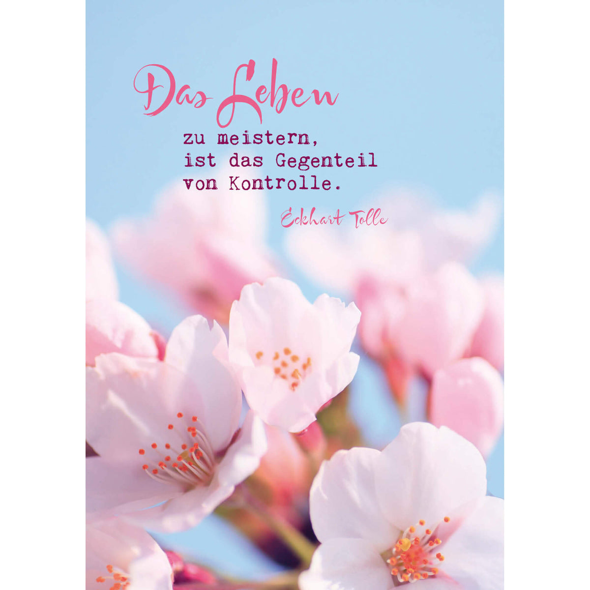 Eckhart Tolle Postkarten