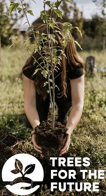 Eine Matte = ein Baum Für jede verkaufte YOGISTAR®-Yogamatte pflanzt YOGISTAR® einen Baum.