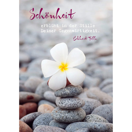 Eckhart Tolle Postkarten