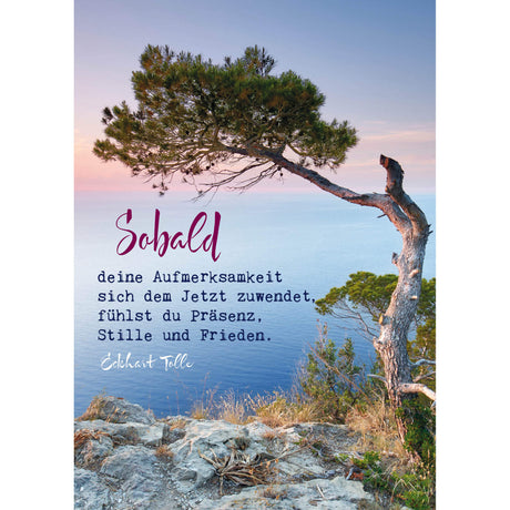 Eckhart Tolle Postkarten