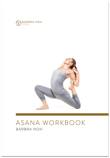 Asana Workbook von Barbra Noh