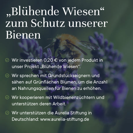 Bio Zahnpulver - Ingwer, 45 g