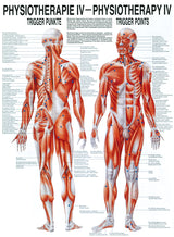 Triggerpunkte